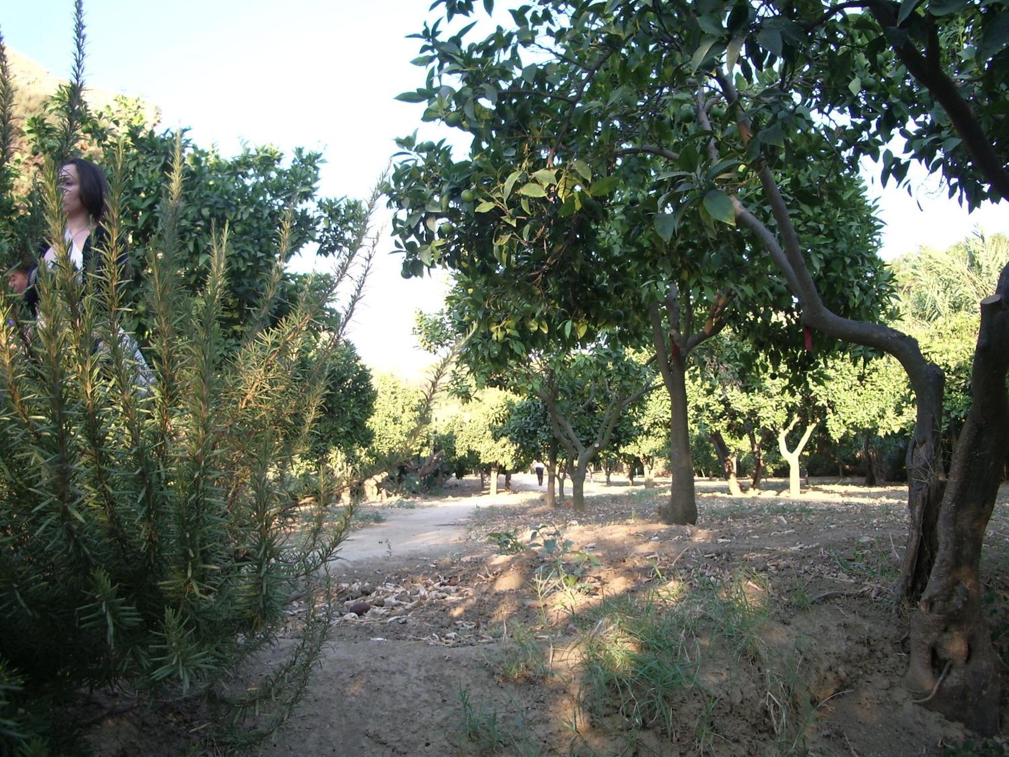 Villa Dei Giardini San Leone Exterior foto